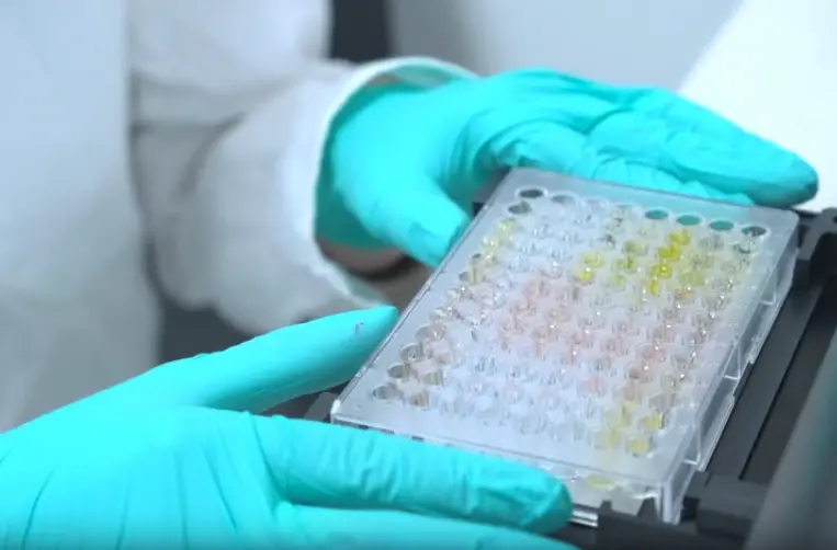 Human IL-1α ELISA Kit