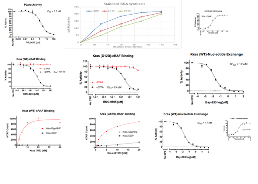 [728253] Papain-like Protease Assay Kit