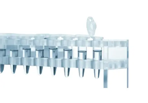 [BOC-0376-05] Human Normal breast tissue cDNA