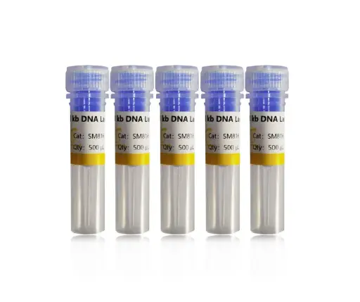 [SM816-500] 1 kb DNA Ladder