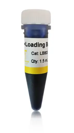 [LB803] 6×Loading Buffer