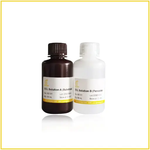 [SE101-100] 
Ultrasensitive ECL Chemiluminescence Detection Kit