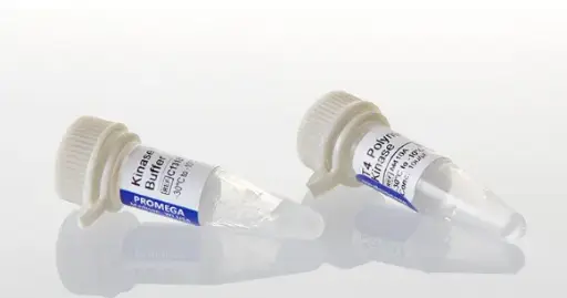 T4 Polynucleotide Kinase , 100u