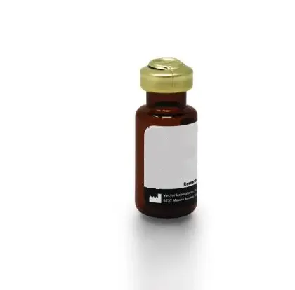 Mouse IgG, Control Antibody