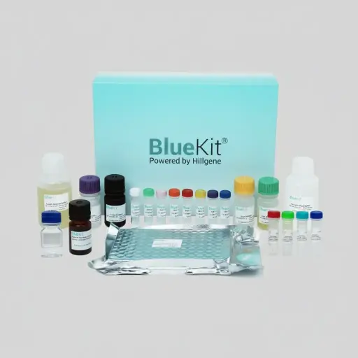 Cell Cytotoxicity Assay Kit (Adherent Target Cells)