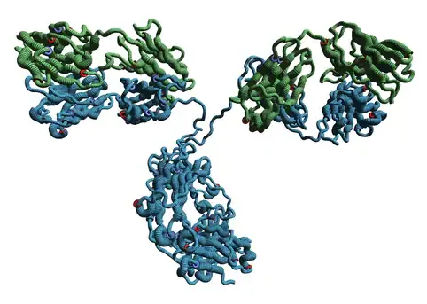 [BMA1039-sf] Monoclonal Anti- Terminal deoxynucleotidyl transferase, TDT antibody