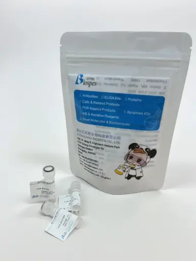 [BRM1139-2-sf] Recombinant Monoclonal Anti- CDK4 antibody