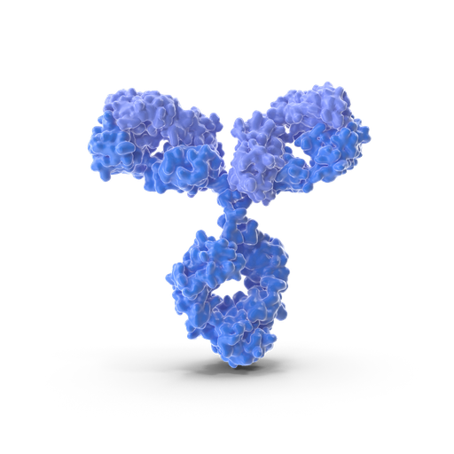 [BF0009] DKK3 antibody - 100µg